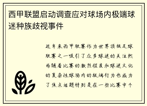 西甲联盟启动调查应对球场内极端球迷种族歧视事件